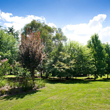 Country Parkland Garden