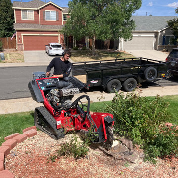 Stump Grinding