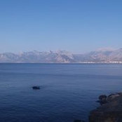 Sigrid Weber's photo