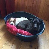 Ciara McLernon's photo