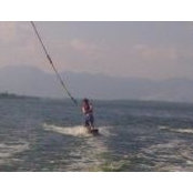 Sylvia Guzman's photo