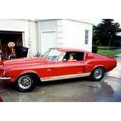 Patrick Murray's photo