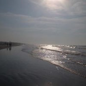 Foto von Jeanie Merrill