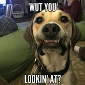 Kendren Mona's photo