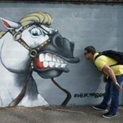 Metodi Velkov's photo