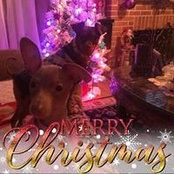 Foto von Cindy Warner