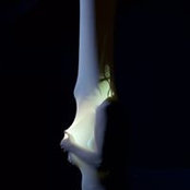 Fanny Rodrigue's photo