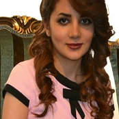 narges msvis foto
