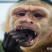 i eat you ''s photo