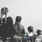 Bridget Giaccio's photo
