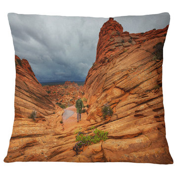 Vermillion Cliffs Wilderness Landscape Printed Throw Pillow, 18"x18"