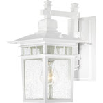Nuvo Lighting - Nuvo Lighting 60/3491 Cove Neck - 1 Light Outdoor Wall Lantern - Cove Neck; 1 Light; 12 in.; Outdoor Lantern with CCove Neck 1 Light Ou White Clear Seeded G *UL: Suitable for wet locations Energy Star Qualified: n/a ADA Certified: n/a  *Number of Lights: Lamp: 1-*Wattage:100w A19 Medium Base bulb(s) *Bulb Included:No *Bulb Type:A19 Medium Base *Finish Type:White