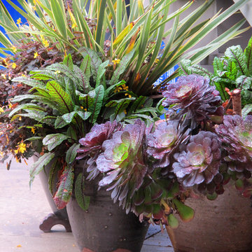 Our Gardens