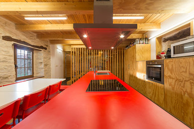 Kitchen - contemporary kitchen idea in Other