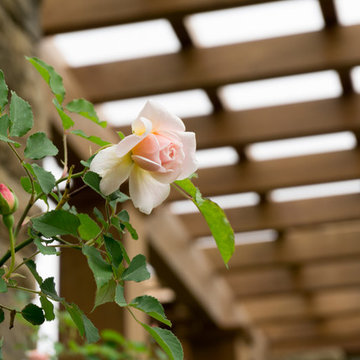 Fort Worth Botanic Garden Ipe Pergola