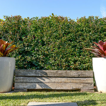 Concord Renovation - Pool & Entertaining Areas