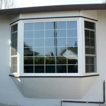 Bay/Bow Windows