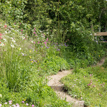 Garden Tour: Waves, Wildflowers and 'Cliffs' Conjure up the Coast