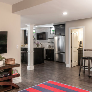 Transitional Lower Level in St. Louis