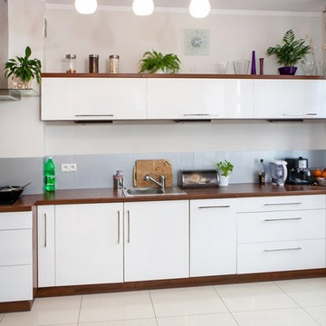 High Gloss Lacquered Doors