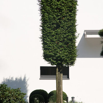 Villengarten Wannsee