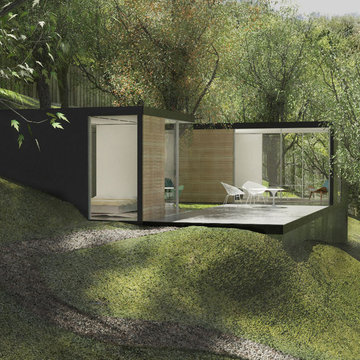 In-Law Unit (700 sq.ft.)