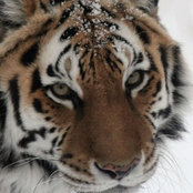 robyn kunimoto's photo