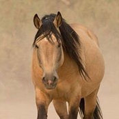 Beverly Hutto's photo