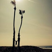 Philippa MacDuff's photo