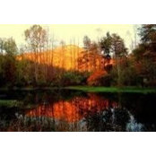 Felicia Sutton's photo