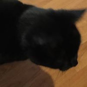 Betsy Strickland's photo