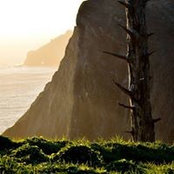 Rob Roemhildt's photo
