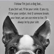 Gary Palochko's photo