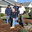 Ponderosa Landscaping