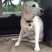 Stephanie Acharya's photo