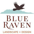 Blue Raven Landscape + Design's profile photo