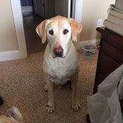 Dee Schotter-Burke's photo