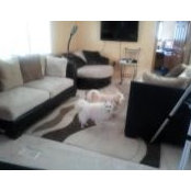 Mary Bingaman's photo