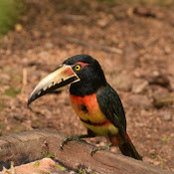 christine brocking's photo