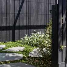 2019 Ash Exterior