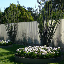 flower garden