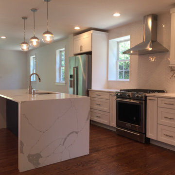 Del Ray Whole House Renovation and Addition