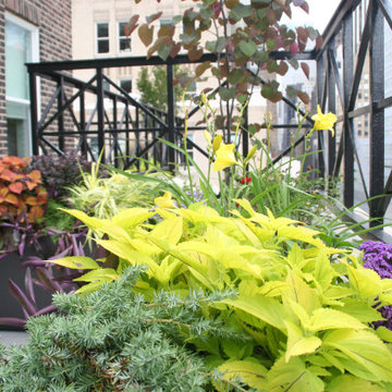 Plant combinations