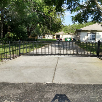 Ornamental in north New Port Richey