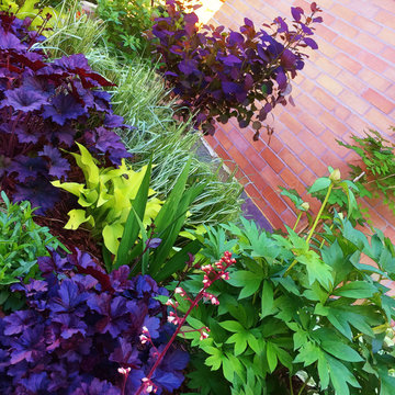 Urban Garden, North Denver