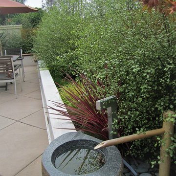 Vertical Garden Designs - La Jolla