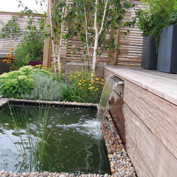 Roof Top Batchelor Pad in Nottinghill, London