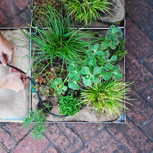 Green roof
