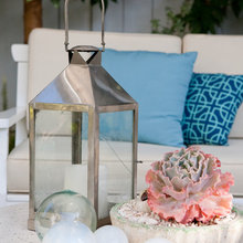 Succulents/Garden