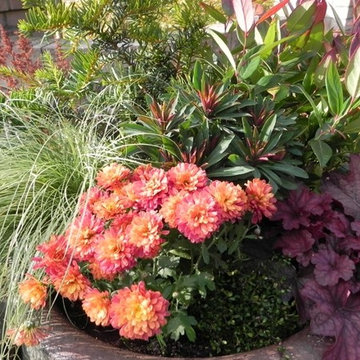 Container Gardens